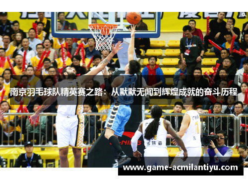 南京羽毛球队精英赛之路：从默默无闻到辉煌成就的奋斗历程