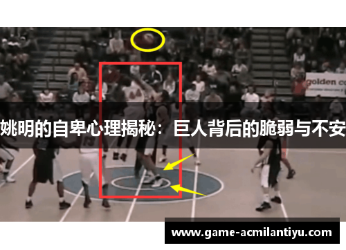 姚明的自卑心理揭秘：巨人背后的脆弱与不安